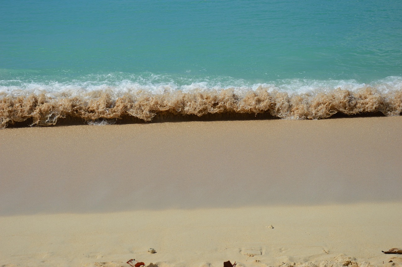Paysage Guadeloupe