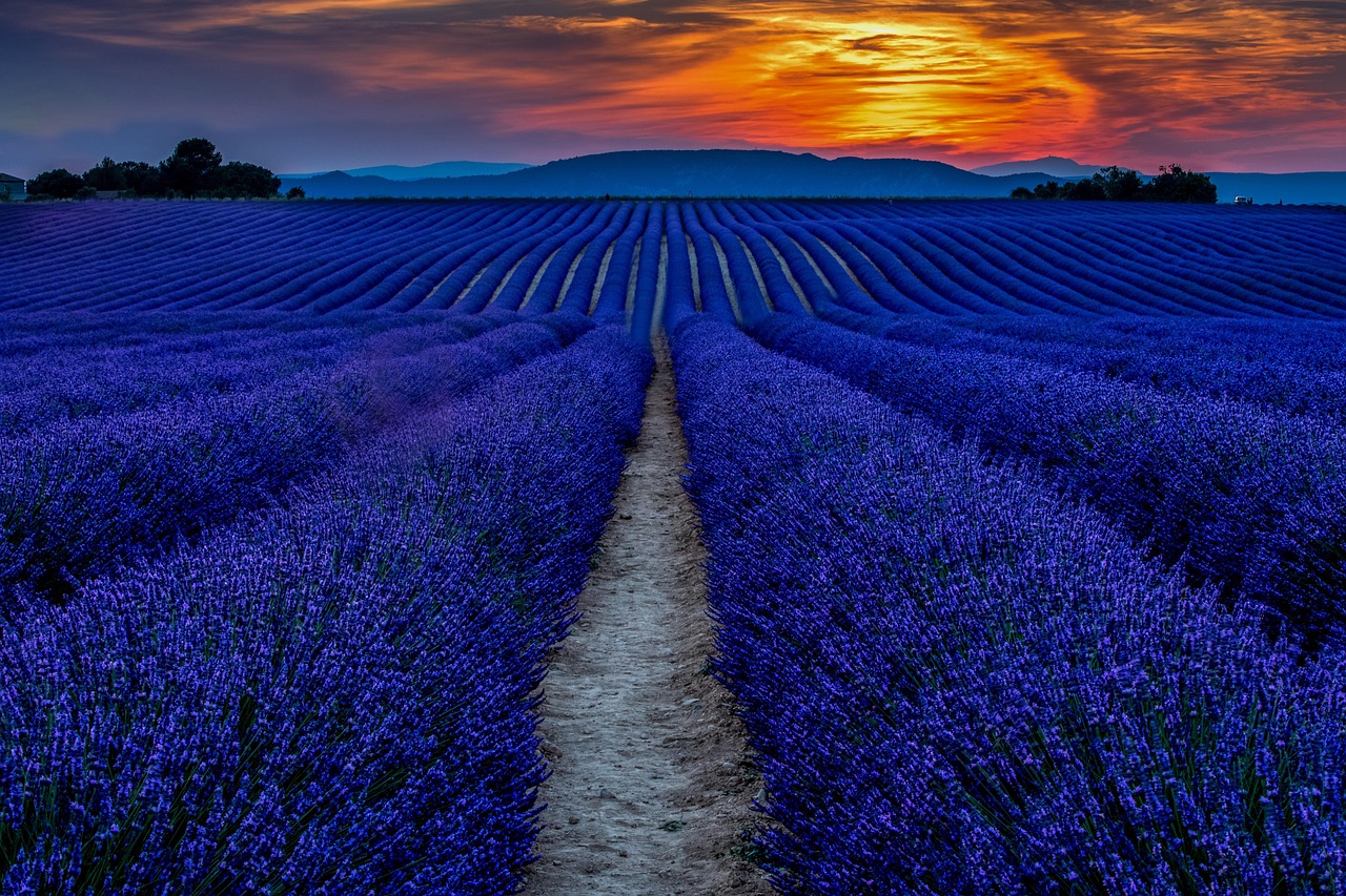 Paysage Provence-Alpes-Côte d'Azur