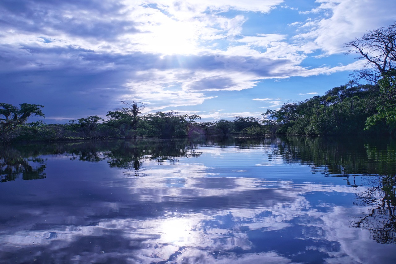 Paysage Guyane